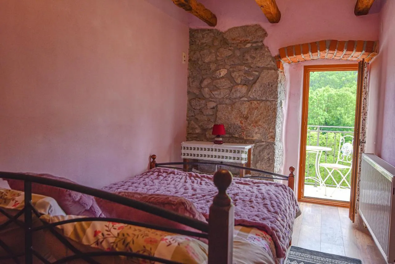 Villa Danica With Pool - Perka Zvoneca